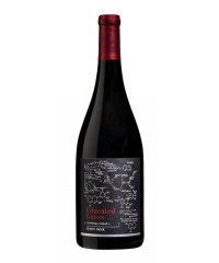 Červené kalifornské víno Roots Run Deep Winery Educated Guess Pinot Noir 2022